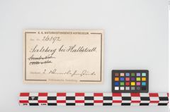 Etikett zu Hüttenlehm (NHMW-PRAE-026892)